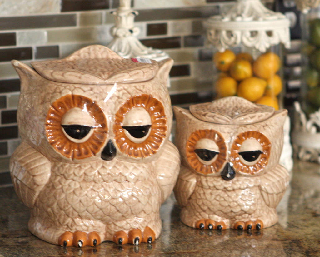 Owlcanisters